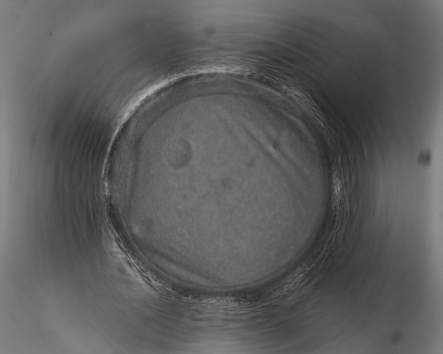 X0000116100628200912071300