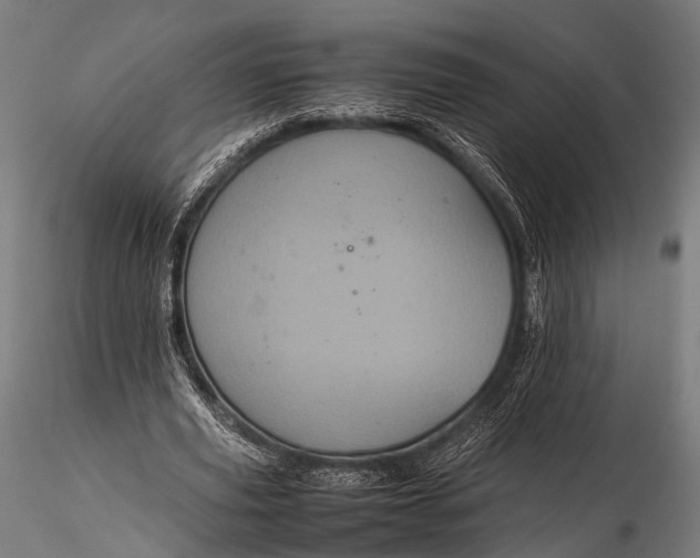 X0000116100629200912071300