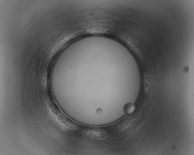 X0000116100631200912071300