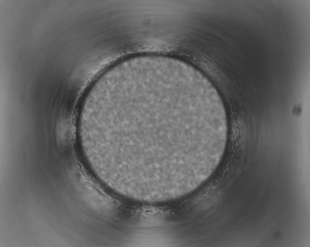 X0000116100632200912071300