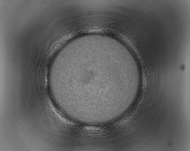 X0000116100633200912071300