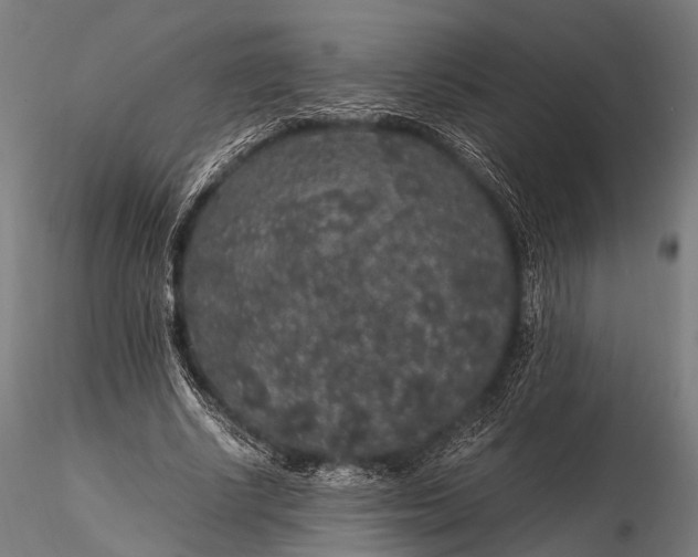 X0000116100634200912071301