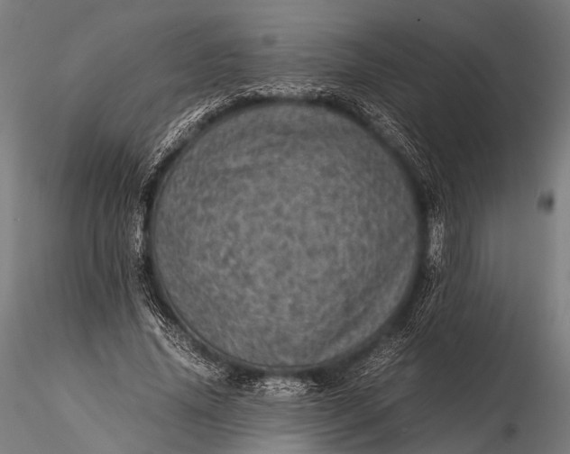 X0000116100636200912071301