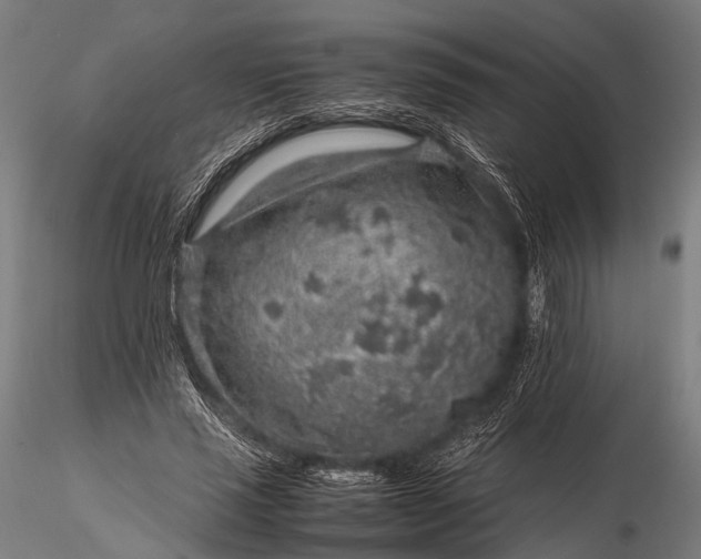 X0000116100637200912071301