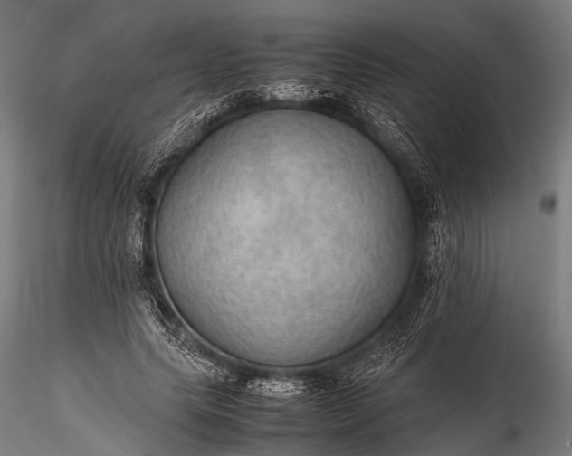 X0000116100639200912071301