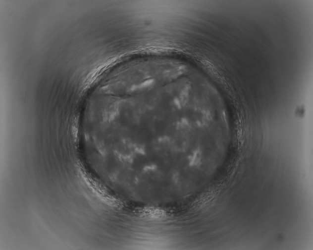 X0000116100640200912071301