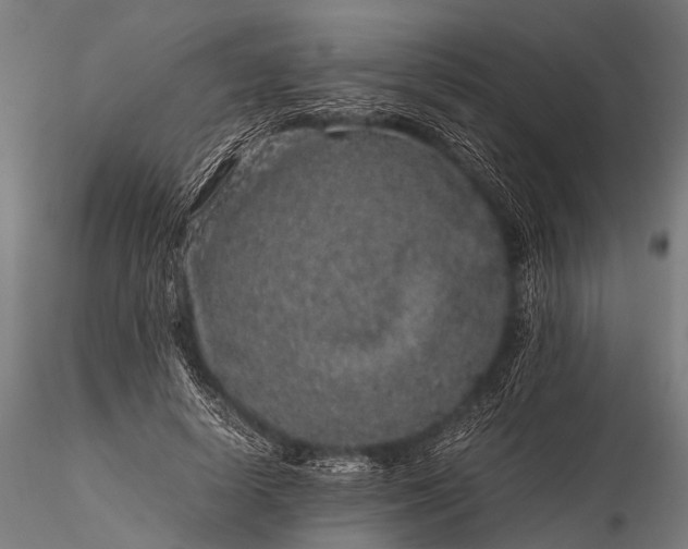 X0000116100642200912071301