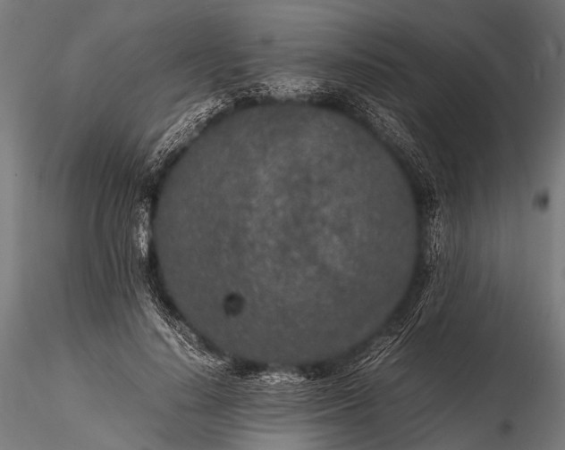 X0000116100644200912071301