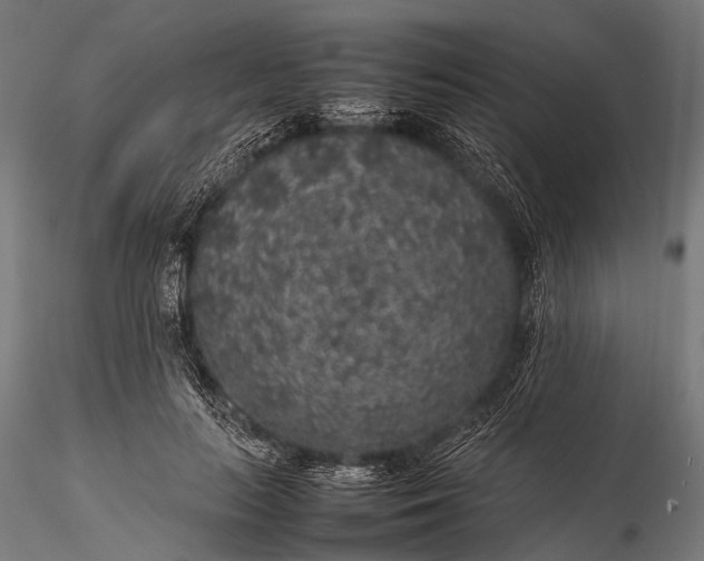 X0000116100647200912071301