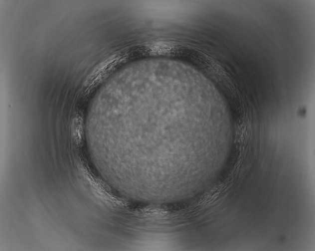 X0000116100648200912071301