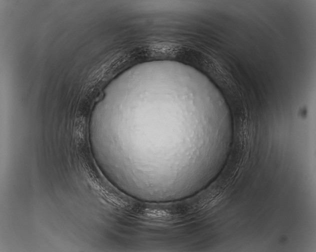 X0000116100649200912071301