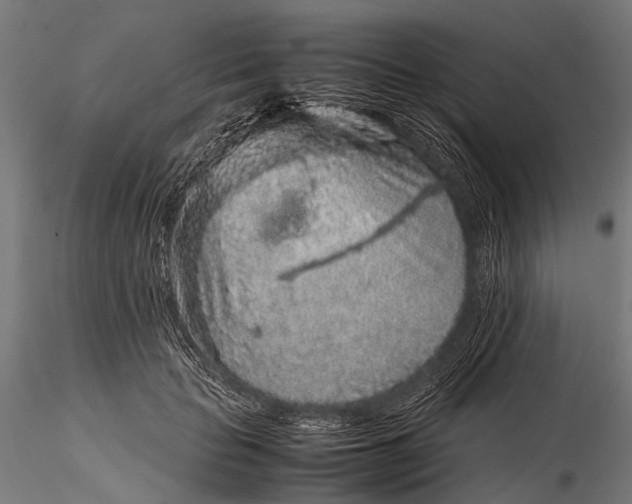 X0000116100653200912071301