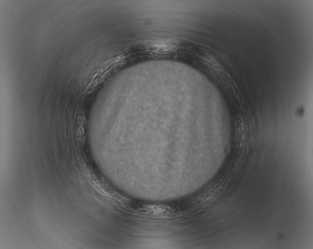 X0000116100654200912071301