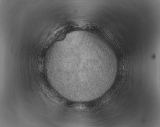 X0000116100656200912071301