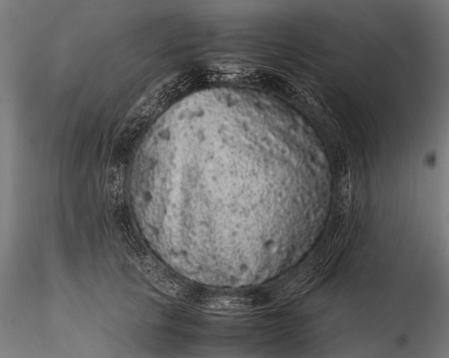 X0000116100657200912071301