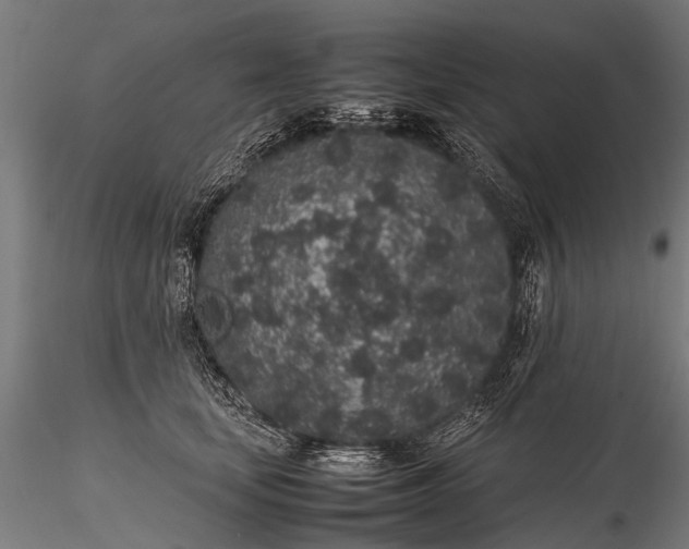 X0000116100659200912071301