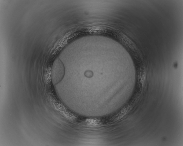 X0000116100660200912071301