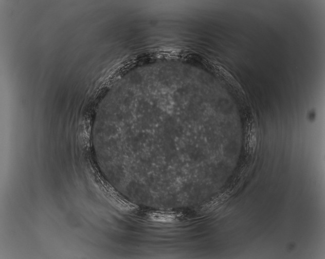 X0000116100661200912071301