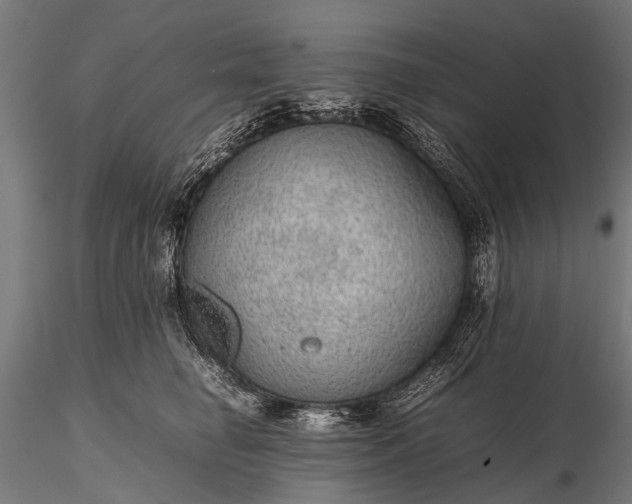 X0000116100662200912071301