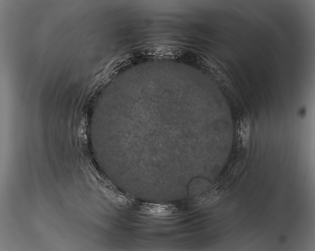 X0000116100663200912071301