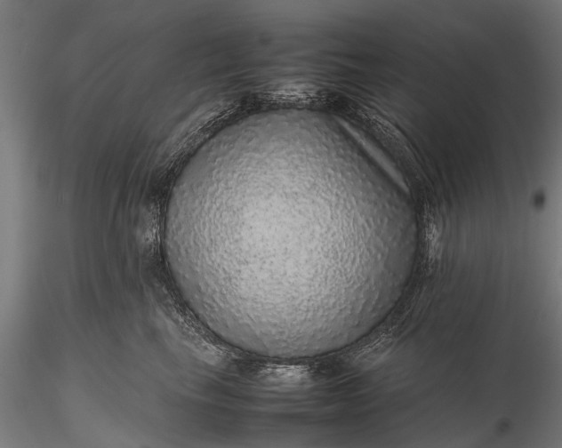 X0000116100665200912071301