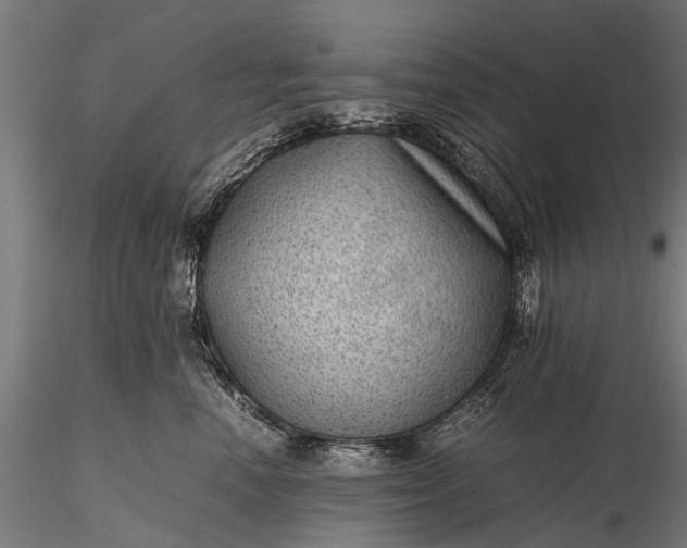 X0000116100666200912071301