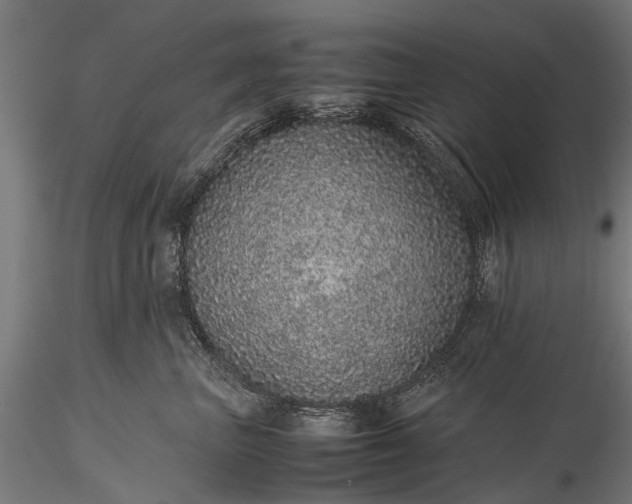 X0000116100667200912071301