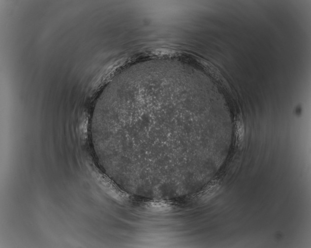 X0000116100668200912071301