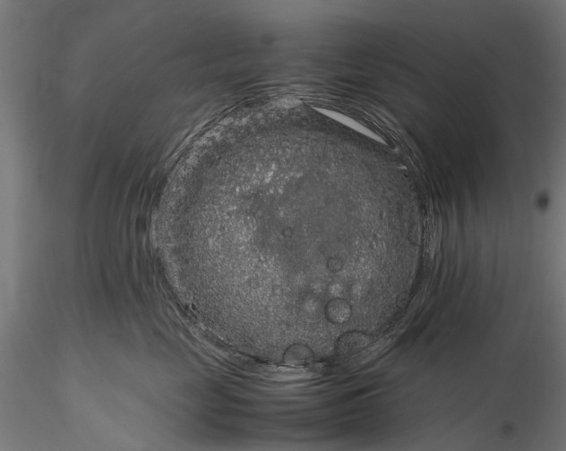 X0000116100669200912071301