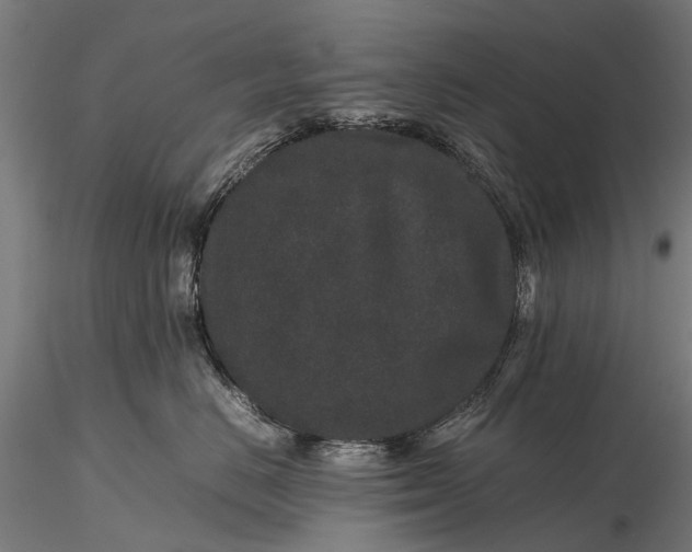 X0000116100670200912071301