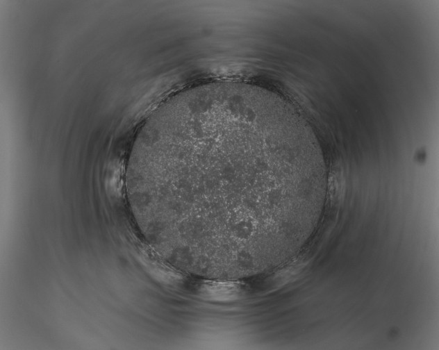 X0000116100671200912071301