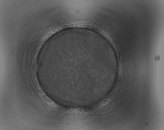 X0000116100673200912071300