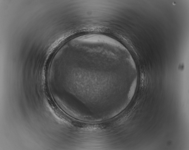 X0000116100674200912071300