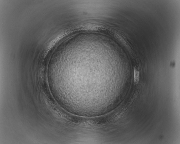 X0000116100675200912071300