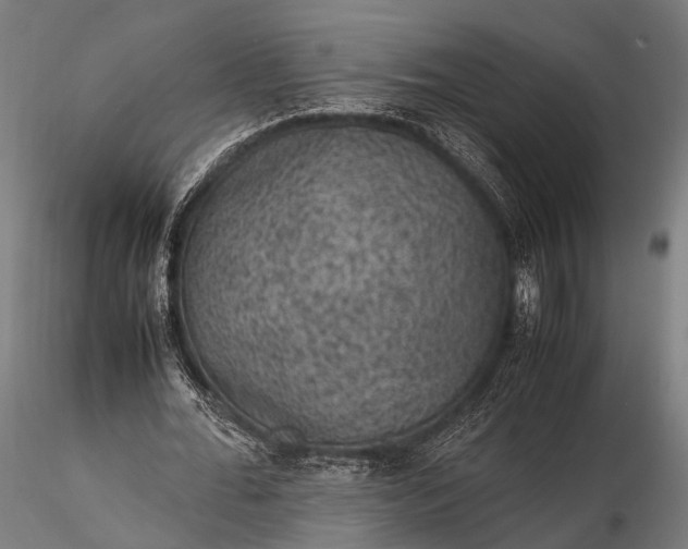 X0000116100676200912071300