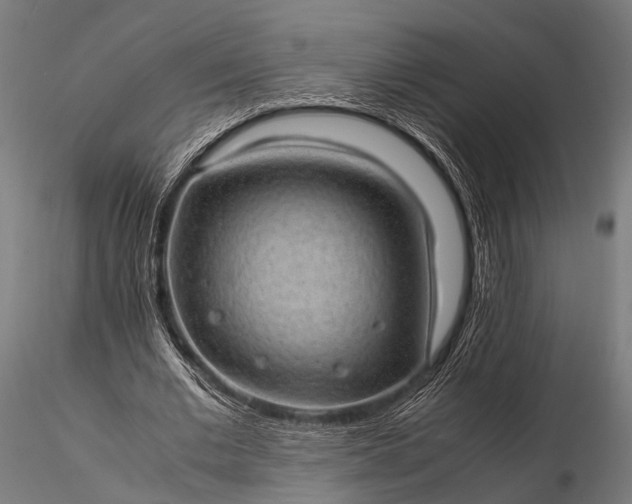 X0000116100677200912071300