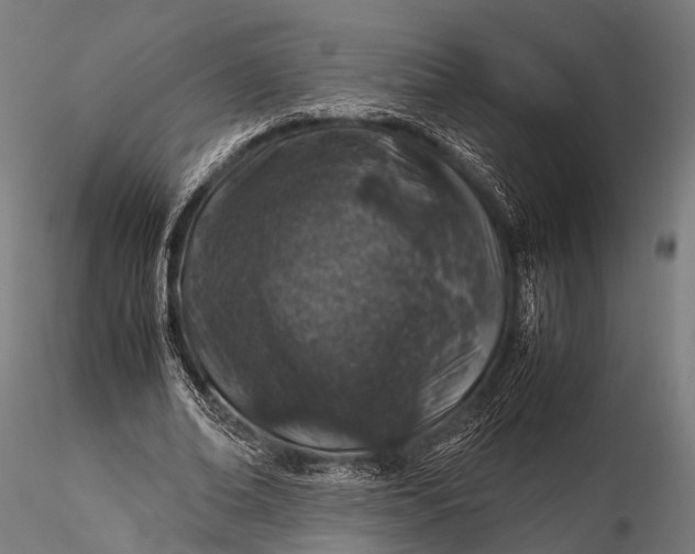 X0000116100678200912071300