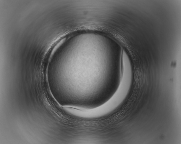 X0000116100680200912071300