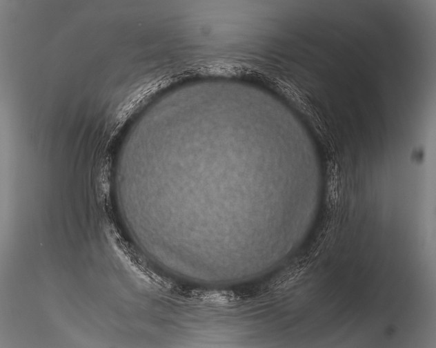 X0000116100683200912071300