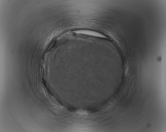 X0000116100685200912071300