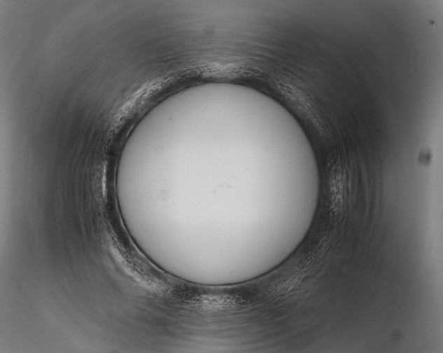 X0000116100686200912071300