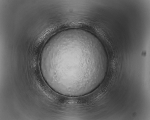 X0000116100687200912071300