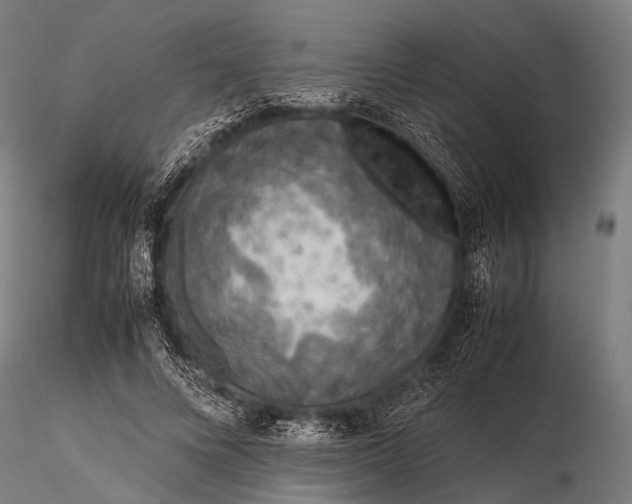 X0000116100688200912071300