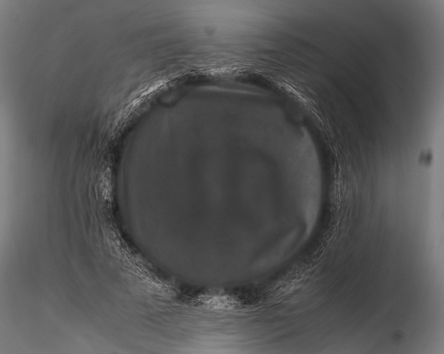 X0000116100689200912071300