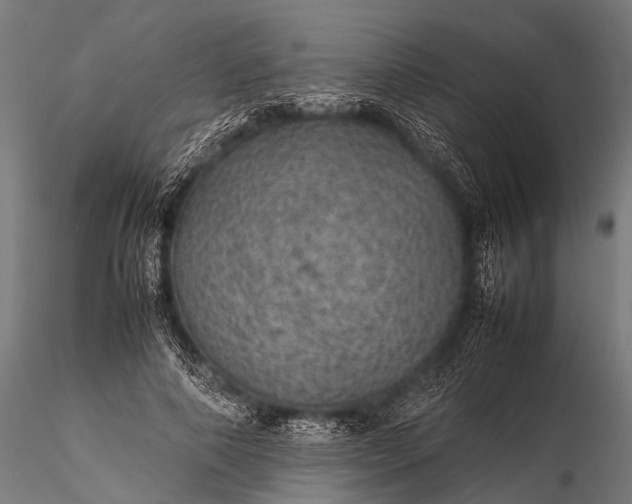 X0000116100690200912071300