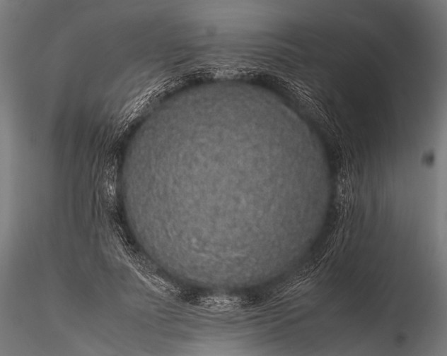 X0000116100691200912071300