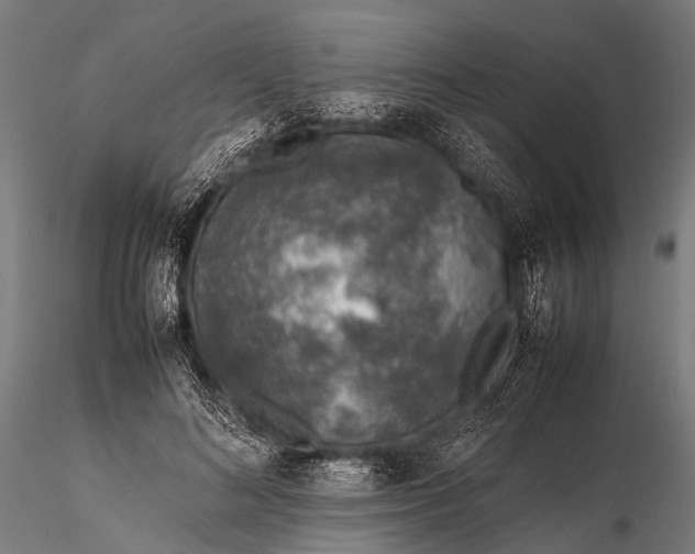 X0000116100692200912071300