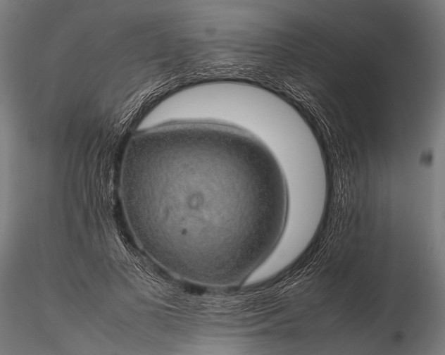 X0000116100693200912071300