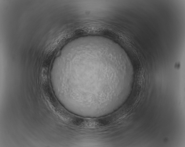 X0000116100695200912071300