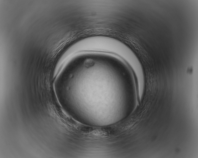 X0000116100696200912071300